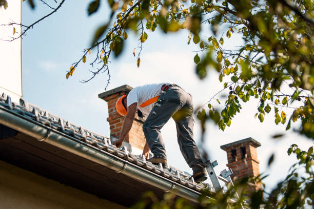 Best Emergency Roof Repair  in New Eagle, PA