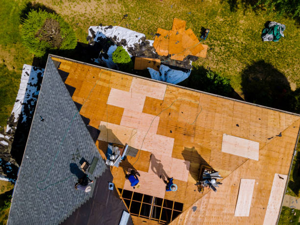 Best Roof Repair Services  in New Eagle, PA
