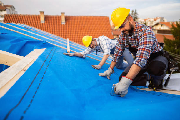 Best Roof Leak Repair  in New Eagle, PA