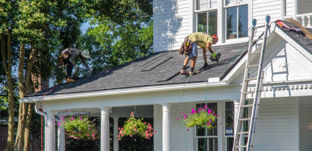Best Local Roofing Companies  in New Eagle, PA