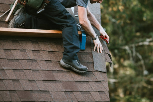 Best Roof Restoration Services  in New Eagle, PA